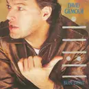 7inch Vinyl Single - David Gilmour - Blue Light