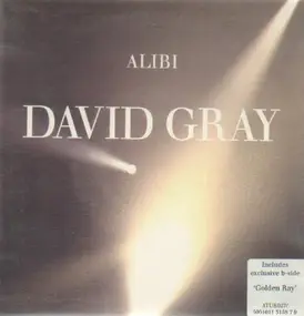 David Gray - Alibi