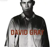 David Gray - Birds Without Wings