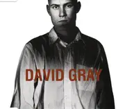 CD Single - David Gray - Birds Without Wings