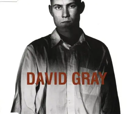 David Gray - Birds Without Wings