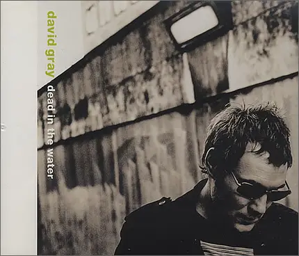 David Gray - Dead In The Water