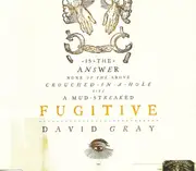 CD Single - David Gray - Fugitive