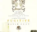 CD Single - David Gray - Fugitive