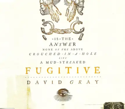David Gray - Fugitive
