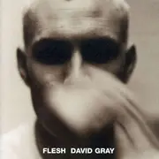 CD - David Gray - Flesh