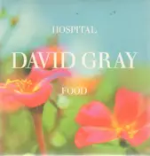 David Gray - Hospital Food