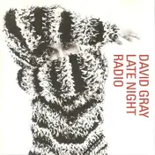 David Gray - Late Night Radio
