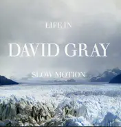 David Gray - Life in Slow Motion