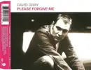 CD Single - David Gray - Please Forgive Me