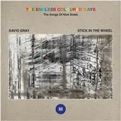 David Gray - The Endless Coloured Ways: The Songs Of Nick Drake (III)