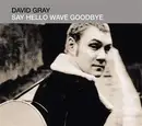 CD Single - David Gray - Say Hello Wave Goodbye