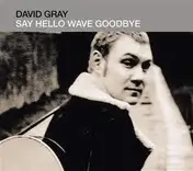 David Gray - Say Hello Wave Goodbye