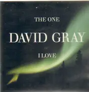 David Gray - The One I Love