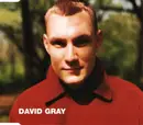 CD Single - David Gray - Wisdom