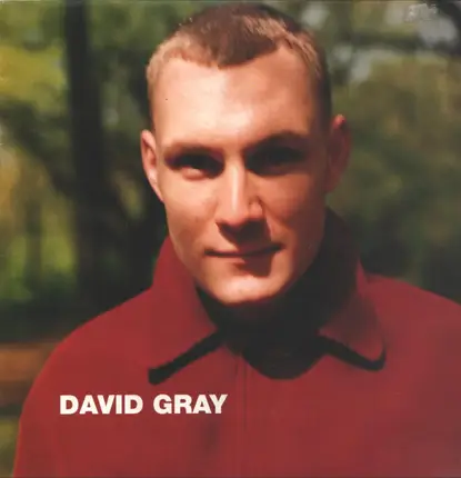 David Gray - Wisdom