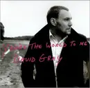 CD Single - David Gray - You're The World To Me