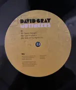Double LP & MP3 - David Gray - Mutineers - +insert