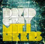 CD - David Gray - Mutineers