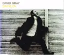 CD Single - David Gray - Babylon