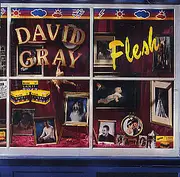 CD - David Gray - Flesh