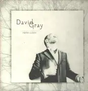 LP & MP3 - David Gray - Foundling - +insert