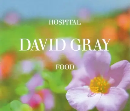 David Gray - Hospital Food