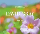 CD Single - David Gray - Hospital Food