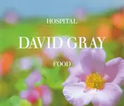 CD Single - David Gray - Hospital Food