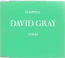 CD Single - David Gray - Hospital Food