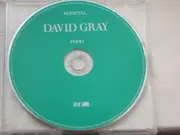 CD Single - David Gray - Hospital Food