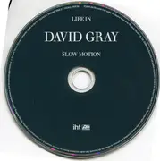 CD - David Gray - Life In Slow Motion