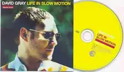 CD - David Gray - Life In Slow Motion