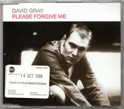 CD Single - David Gray - Please Forgive Me