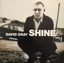 12inch Vinyl Single - David Gray - Shine