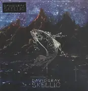 Double LP & MP3 - David Gray - Skellig