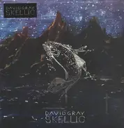 David Gray - Skellig
