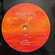 Double LP & MP3 - David Gray - Skellig