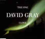 David Gray - The One I Love