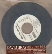 David Gray - The Other Side
