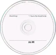 CD Single - David Gray - You're The World To Me