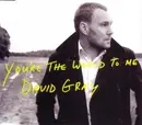CD Single - David Gray - You're The World To Me