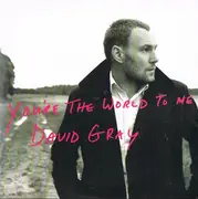 CD Single - David Gray - You're The World To Me