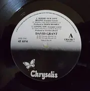 12inch Vinyl Single - David Grant , Linx - Where Our Love Begins EP