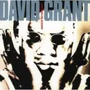 CD - David Grant - The Anxious Edge