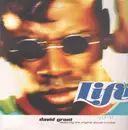 12inch Vinyl Single - David Grant Featuring Double Trouble - Life '90