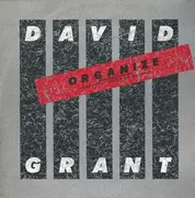12inch Vinyl Single - David Grant - Organize