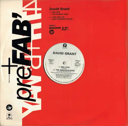 David Grant - Big Love