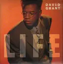 12inch Vinyl Single - David Grant - Life