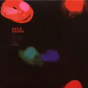 David Grubbs - An Optimist Notes the Dusk